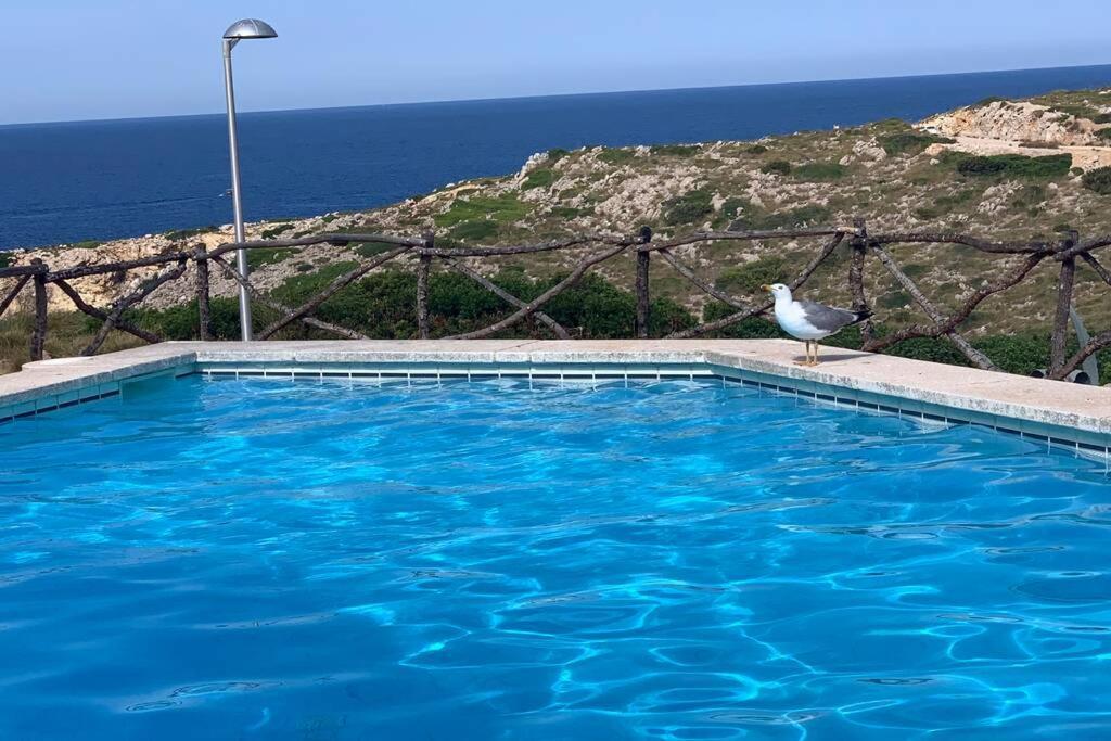 Apartamento A Estrenar Con Vistas Al Mar. Son Parc Exterior foto